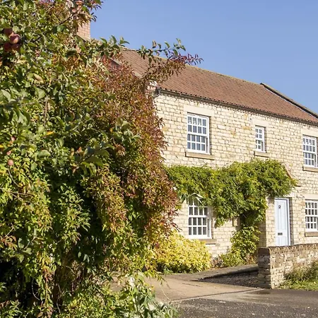 Saxon House 7 Semesterbostad *